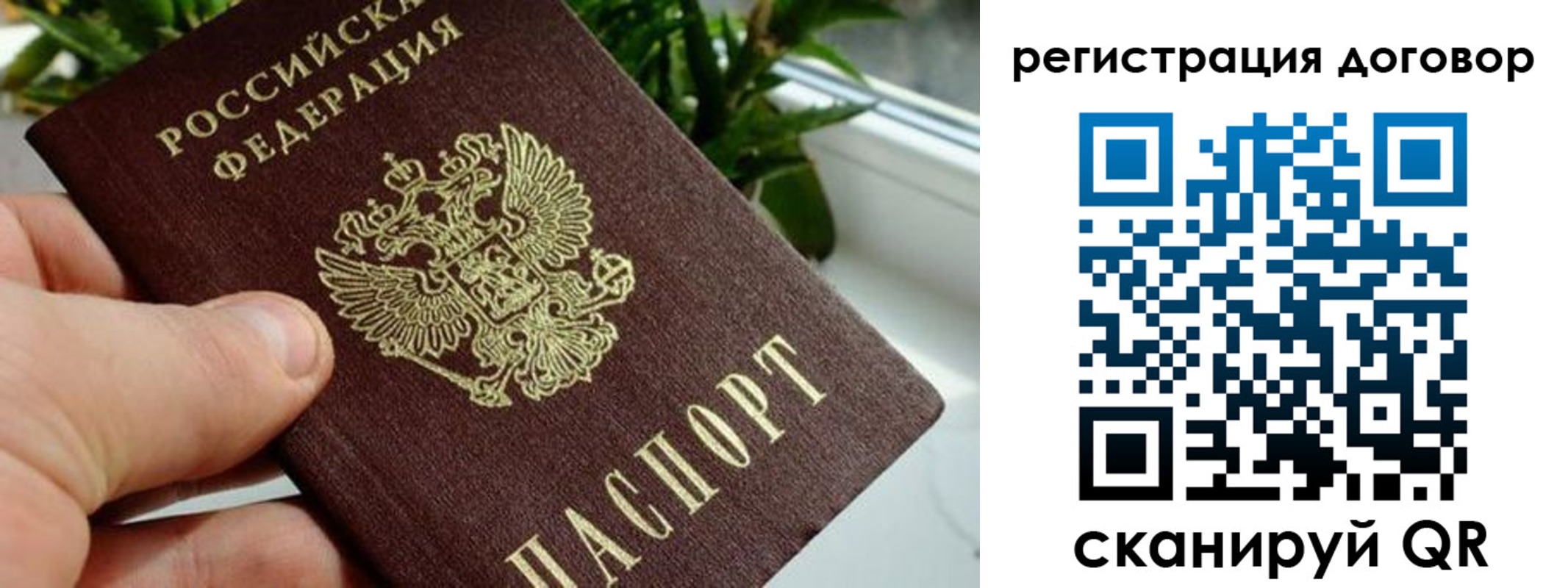 прописка ребенка в Долгопрудном